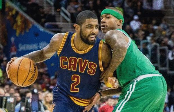 国内的专业 国内的专业